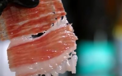 Tipos de jamón: clasificación y características